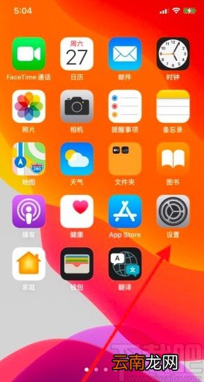 iPhone11关闭数据漫游的方法