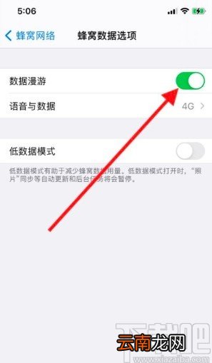 iPhone11关闭数据漫游的方法