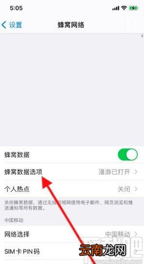 iPhone11关闭数据漫游的方法