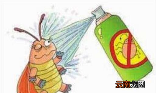 蟑螂为什么喜欢喝酒？