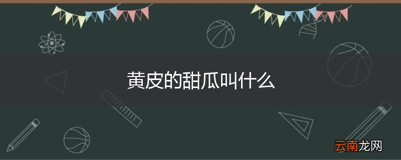 黄皮的甜瓜叫什么