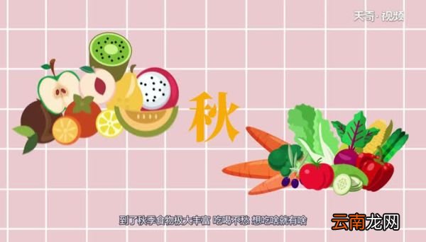小松鼠会爬树吗小松鼠会不会爬树