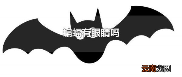 蝙蝠有眼睛吗