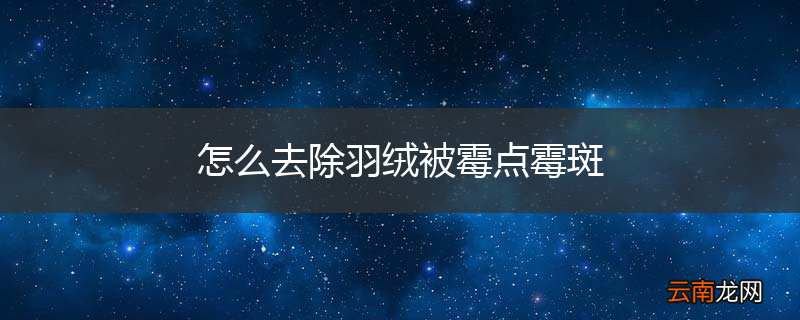 怎么去除羽绒被霉点霉斑
