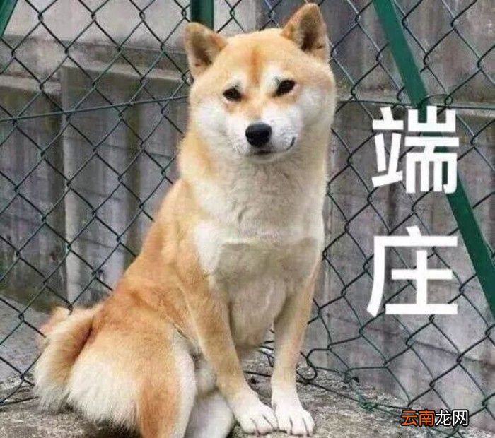女生叫你狗子是什么意思？