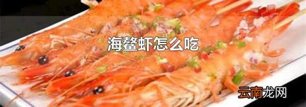 海鳌虾怎么吃