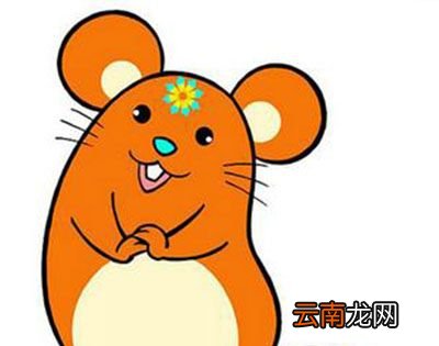 猪年过了是什么年？