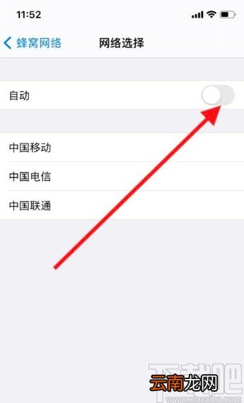 苹果手机开启网络自动选择的方法