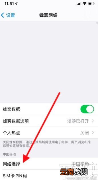苹果手机开启网络自动选择的方法