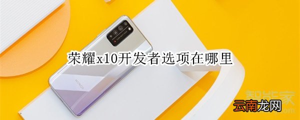 荣耀x10开发者选项在哪里