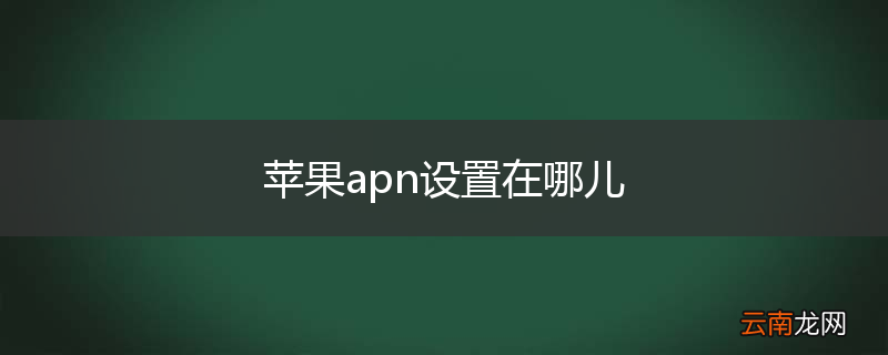 苹果apn设置在哪儿