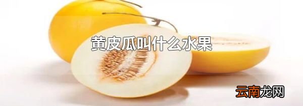 黄皮瓜叫什么水果