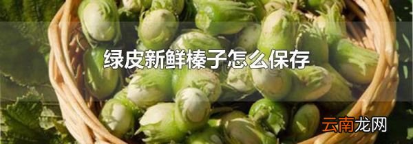 绿皮新鲜榛子怎么保存