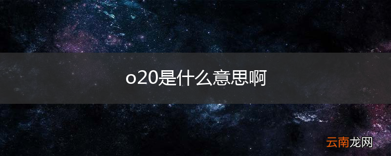 o20是什么意思啊