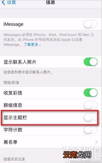 苹果手机开启显示主题栏功能的方法