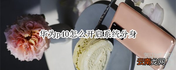华为p40怎么开启系统分身