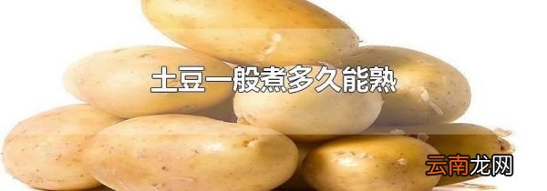 土豆一般煮多久能熟