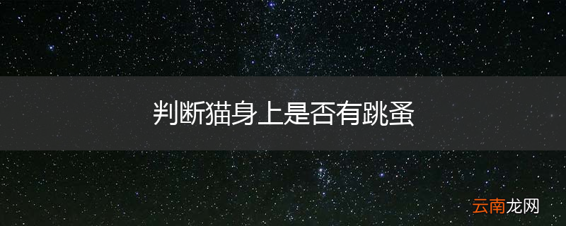 判断猫身上是否有跳蚤