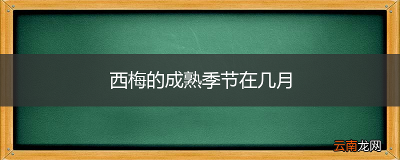 西梅的成熟季节在几月