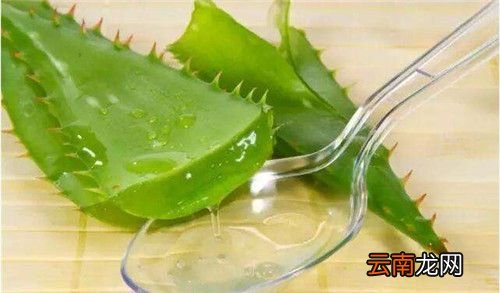 坐车晕车怎么办