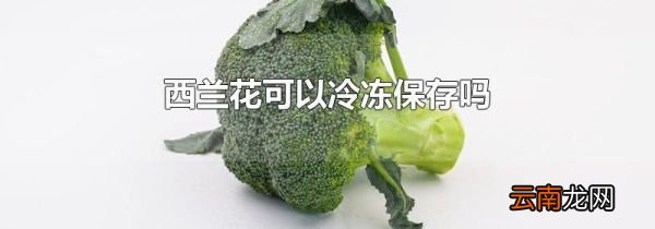 西兰花可以冷冻保存吗