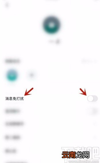 多闪app开启群消息免打扰模式的方法