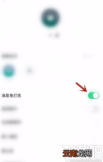 多闪app开启群消息免打扰模式的方法