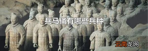 兵马俑有哪些兵种