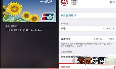 Apple Pay如何解绑银行卡？解绑银行卡教程分享