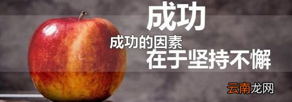 成功的因素