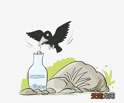 乌鸦喝水的寓言是虚构的吗？