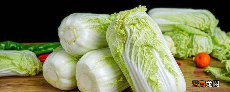 冬天大白菜怎么储存新鲜