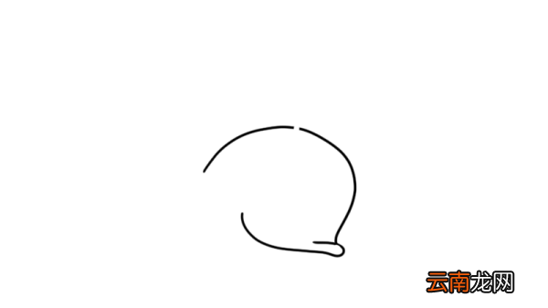 鲸简笔画