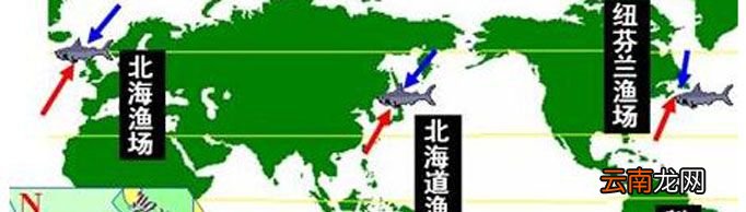 世界四大渔场是指哪些渔场？