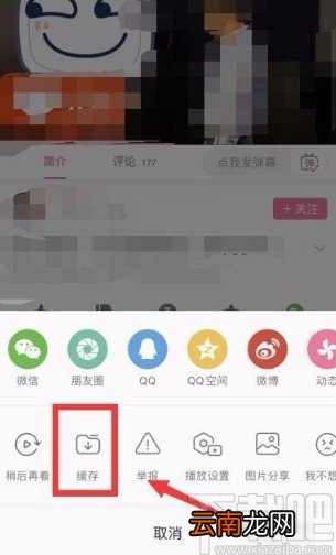 哔哩哔哩app缓存视频的方法