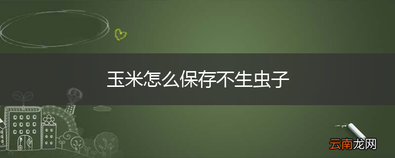 玉米怎么保存不生虫子