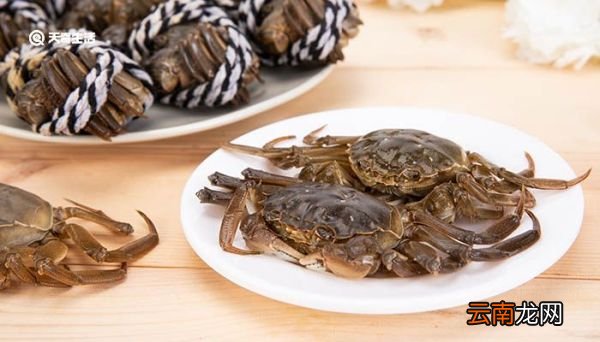 清蒸螃蟹如何清洗 清蒸螃蟹怎么清洗