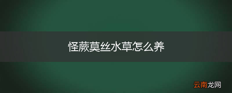 怪蕨莫丝水草怎么养