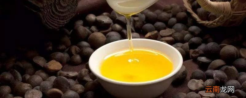 茶油怎么保存才不会坏