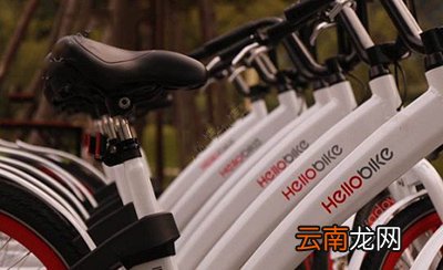 哈罗单车需要多少押金？收费详情说明