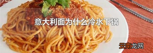 意大利面为什么冷水下锅