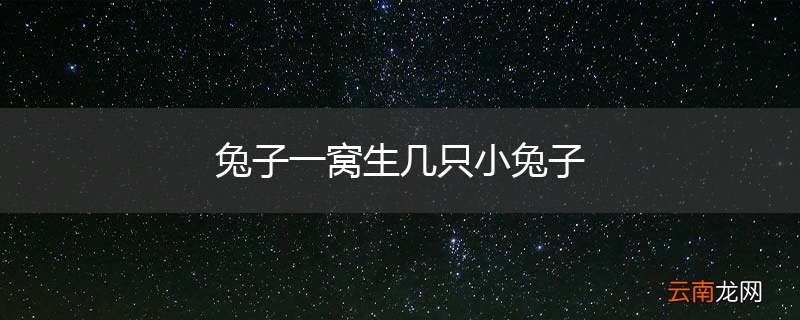 兔子一窝生几只小兔子
