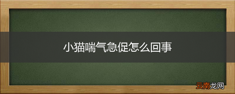 小猫喘气急促怎么回事