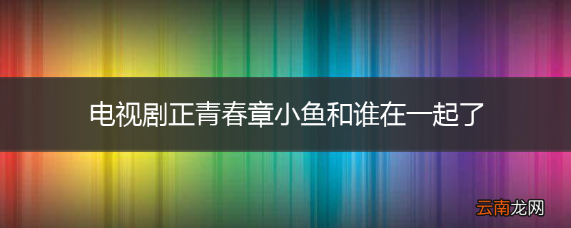 电视剧正青春章小鱼和谁在一起了