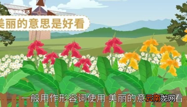 美丽的意思 美丽意思是什么
