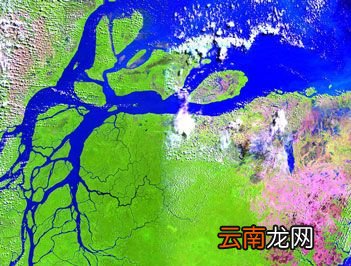 世界最大的河口三角洲是什么？