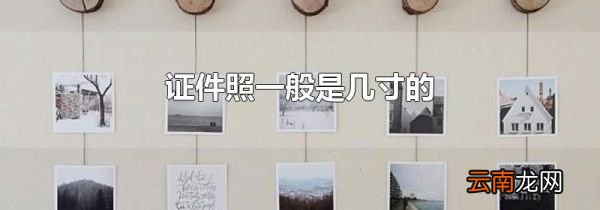 证件照一般是几寸的