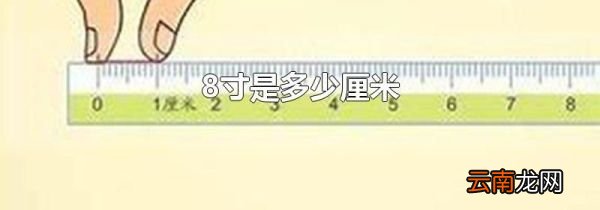 8寸是多少厘米