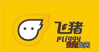 飞猪机票如何改期?机票改期步骤分享