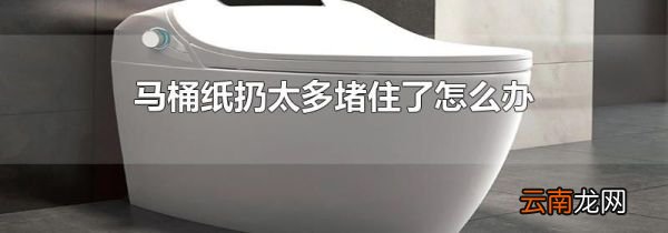 马桶纸扔太多堵住了怎么办